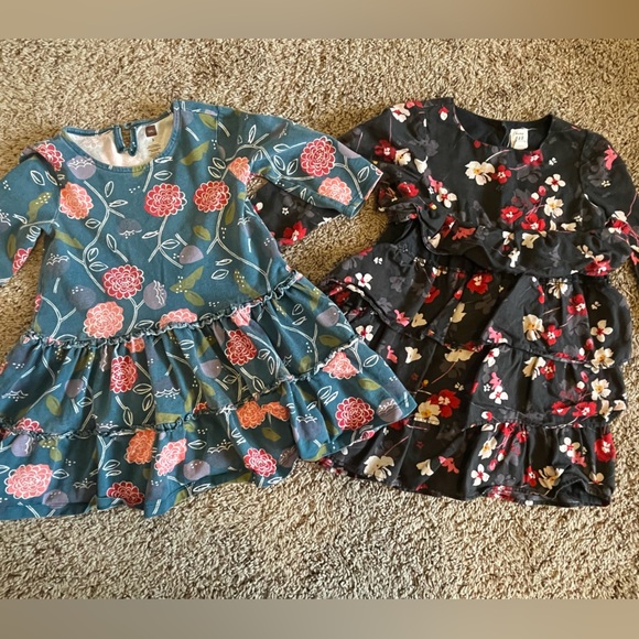 3T toddler girls dress bundle BabyGap and Tea Collection | 2 pieces total - Picture 1 of 9